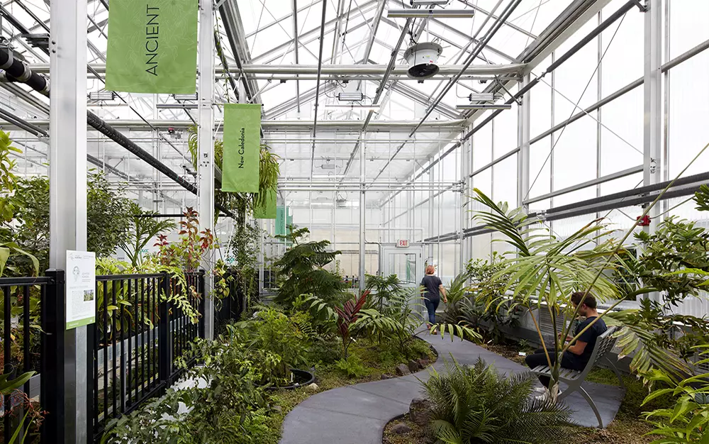 Greenhouse facilities