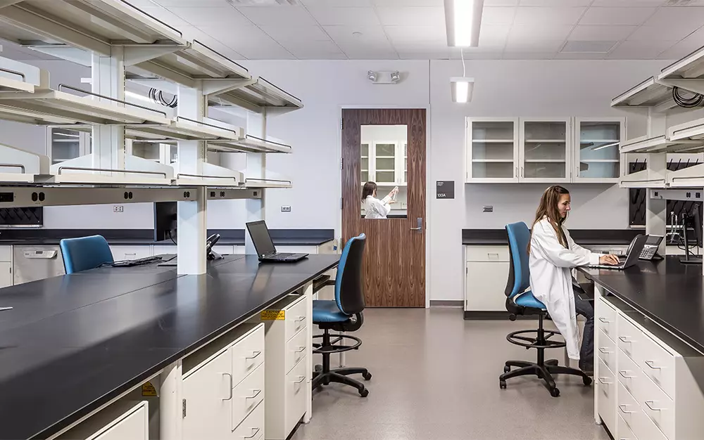 Woman working in the laboratory room