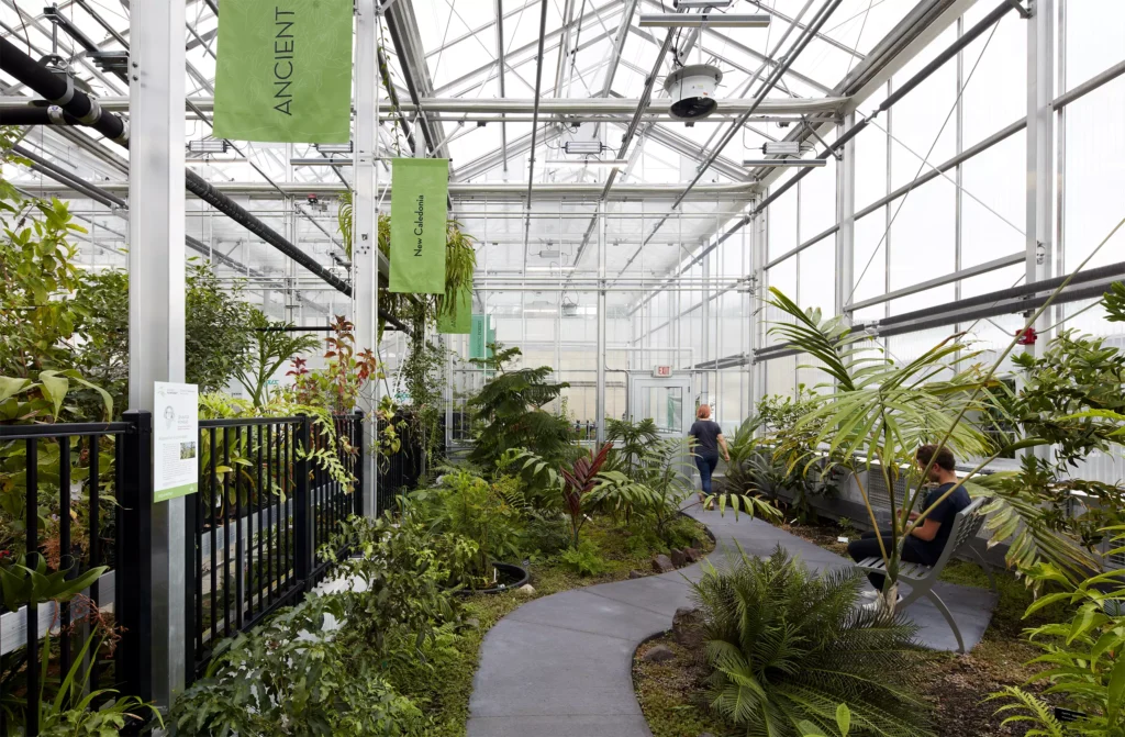 Garden in a greenhouse