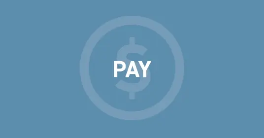 Pay icon